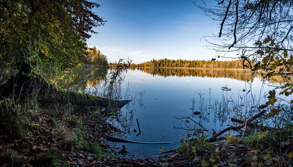 Csodálatos Őszi Túra Koenigsegsee Környékén Koenigsegwald Felső Svábiában — Stock Fotó