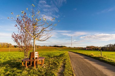 Constance Gölü yakınlarındaki Hoechsten nehrinde sonbahar yürüyüşü.