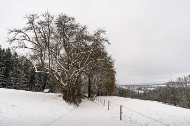 Wilhelmsdorf 'tan Constance Gölü yakınlarındaki Hoechsten' e kış yürüyüşü.
