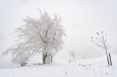 Wilhelmsdorf 'tan Constance Gölü yakınlarındaki Hoechsten' e kış yürüyüşü.