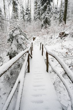 Wilhelmsdorf 'tan Constance Gölü yakınlarındaki Hoechsten' e kış yürüyüşü.
