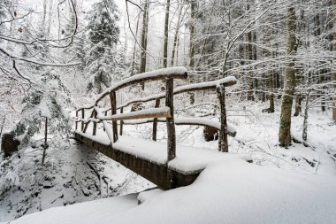 Wilhelmsdorf 'tan Constance Gölü yakınlarındaki Hoechsten' e kış yürüyüşü.