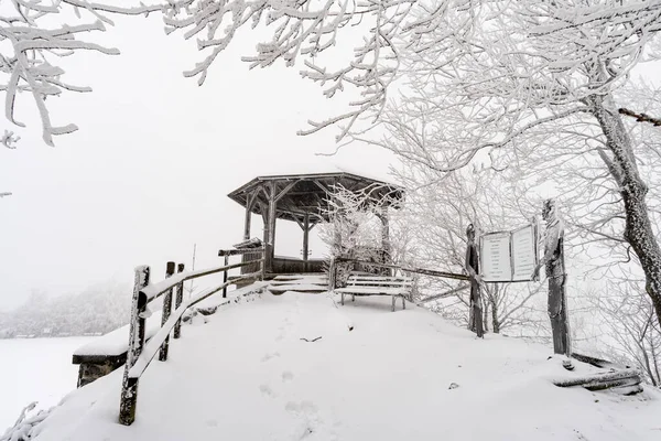 Winterwandeling Sneeuw Vanaf Wilhelmsdorf Aan Hoechsten Bij Illmensee Aan Het — Stockfoto