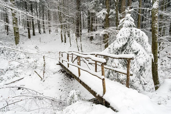 ウィルヘルムスドルフからの雪の冬のハイキングコンスタンス湖のイルメンゼー近くのホーエンシュタイン — ストック写真