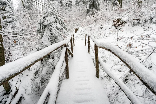 Winter hike in snow from Wilhelmsdorf on the Hoechsten near Illmensee on Lake Constance