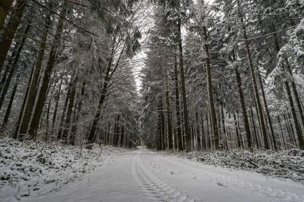 Winterwanderung Schnee Wilhelmsdorf Höchsten Bei Illmensee Bodensee — Stockfoto