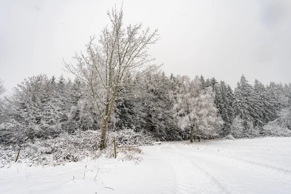 ウィルヘルムスドルフからの雪の冬のハイキングコンスタンス湖のイルメンゼー近くのホーエンシュタイン — ストック写真