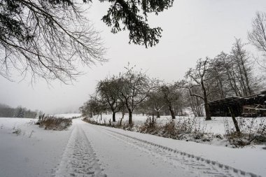 Wilhelmsdorf 'tan Constance Gölü yakınlarındaki Hoechsten' e kış yürüyüşü.