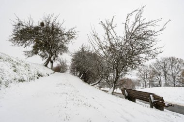 Wilhelmsdorf 'tan Constance Gölü yakınlarındaki Hoechsten' e kış yürüyüşü.