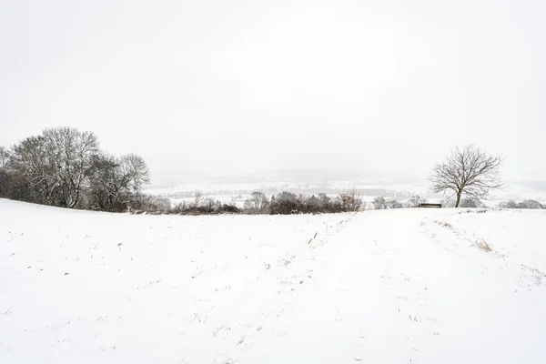 Caminata Invierno Nieve Wilhelmsdorf Hoechsten Cerca Illmensee Lago Constanza — Foto de Stock