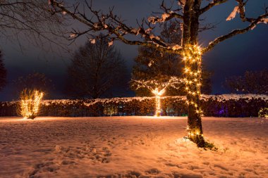 Üst Bataklık 'taki Bad Waldsee' de Prens Kış Parıltısı 'nda renkli atmosferli güzel Noel ışıklandırması
