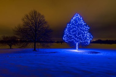 Üst Bataklık 'taki Bad Waldsee' de Prens Kış Parıltısı 'nda renkli atmosferli güzel Noel ışıklandırması