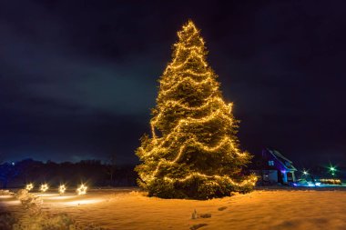 Üst Bataklık 'taki Bad Waldsee' de Prens Kış Parıltısı 'nda renkli atmosferli güzel Noel ışıklandırması