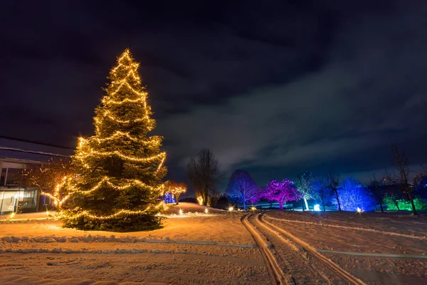 Beautiful Christmas Lighting Colorful Atmosphere Princely Winter Glow Bad Waldsee — Foto de Stock