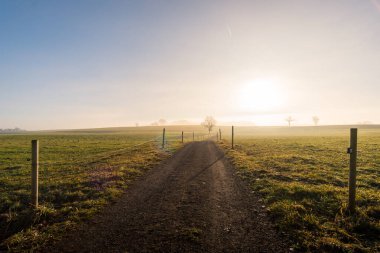 Upper Swabia 'da sabah sisli havada rüya gibi aydınlatma havası.