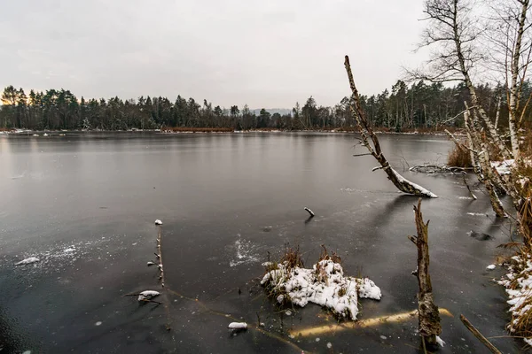 Kış yürüyüşü Pfrunger 'dan başlayıp Yukarı Bataklık' taki Ostrach yakınlarındaki Bannwald Kulesi 'ne kadar uzanıyor.