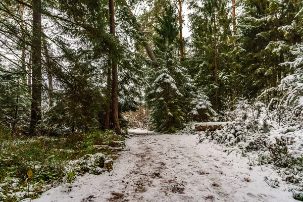 Kış yürüyüşü Pfrunger 'dan başlayıp Yukarı Bataklık' taki Ostrach yakınlarındaki Bannwald Kulesi 'ne kadar uzanıyor.
