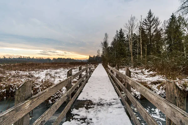 Caminata Invierno Por Pfrunger Ried Hasta Torre Bannwald Cerca Ostrach —  Fotos de Stock