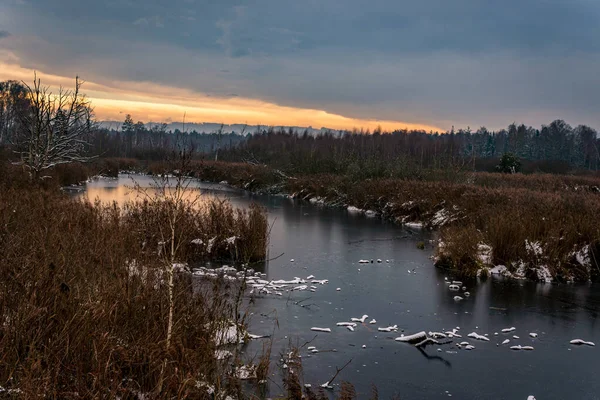 Winterwandeling Door Pfrunger Ried Naar Bannwald Tower Bij Ostrach Opper — Stockfoto