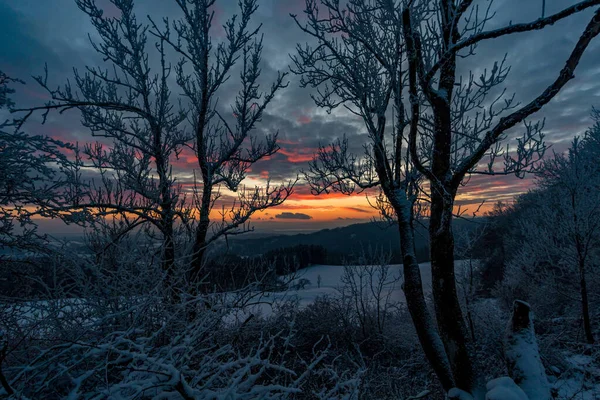 Herrliche Winterlandschaft Bei Sonnenuntergang Hoechsten Bei Illmensee Nördlichen Bodensee — Stockfoto