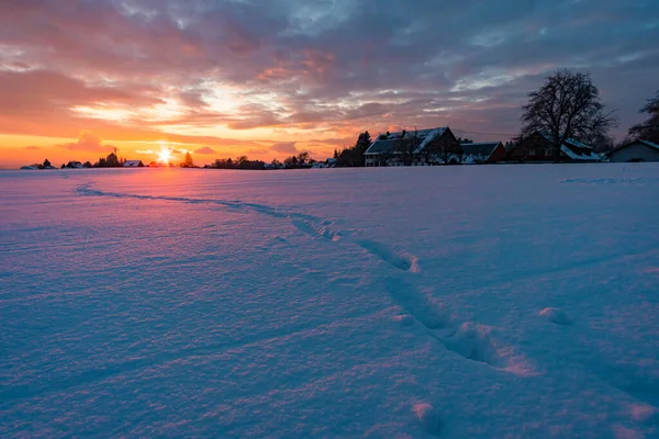 Herrliche Winterlandschaft Bei Sonnenuntergang Hoechsten Bei Illmensee Nördlichen Bodensee — Stockfoto
