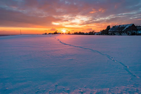 Herrliche Winterlandschaft Bei Sonnenuntergang Hoechsten Bei Illmensee Nördlichen Bodensee — Stockfoto