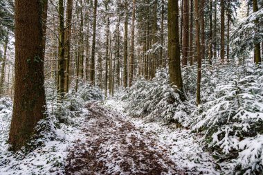 Yukarı Swabia 'daki Ravensburg yakınlarındaki Schmalegg' deki karla kaplı vadiden yürü.