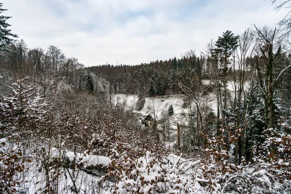 Hike through the snow-covered ravine at Schmalegg near Ravensburg in Upper Swabia