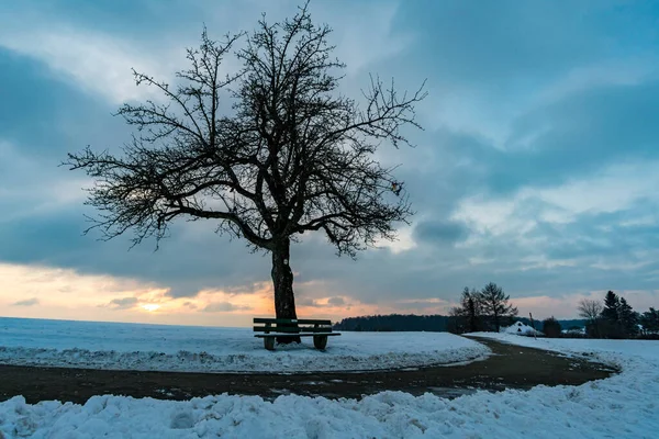 Traumhafte Schneebedeckte Winterlandschaft Bei Heiligenberg Bodensee Aussichtspunkt Amalienhöhe — Stockfoto