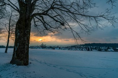 Constance Gölü 'nde, Heiligenberg yakınlarında karla kaplı fantastik bir kış manzarası. Amalienhoehe' nin bakış açısı.