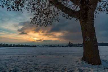 Constance Gölü 'nde, Heiligenberg yakınlarında karla kaplı fantastik bir kış manzarası. Amalienhoehe' nin bakış açısı.