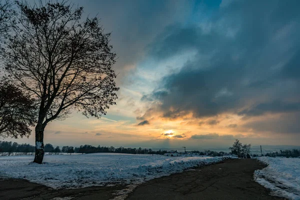 Fantastyczny Pokryty Śniegiem Zimowy Krajobraz Pobliżu Heiligenberg Nad Jeziorem Bodeńskim — Zdjęcie stockowe