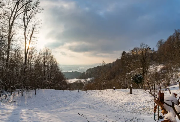 Fantastisch Besneeuwd Winterlandschap Bij Het Kasteel Heiligenberg Aan Bodensee Schitterend — Stockfoto
