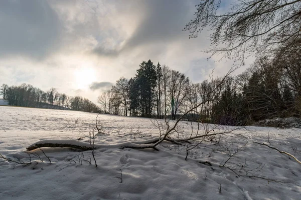 Fantástico Paisaje Invernal Cubierto Nieve Cerca Heiligenberg Lago Constanza Para — Foto de Stock