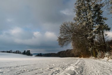 Constance Gölü yakınlarındaki Heiligenberg yakınlarında kayak, kızak ve yürüyüş için harika bir kış manzarası.