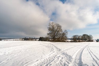 Constance Gölü yakınlarındaki Heiligenberg yakınlarında kayak, kızak ve yürüyüş için harika bir kış manzarası.
