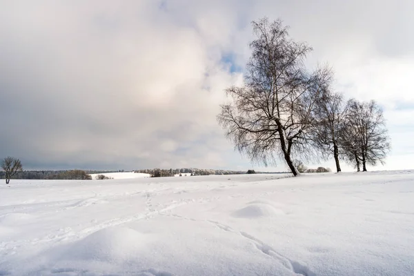 Traumhafte Schneebedeckte Winterlandschaft Bei Heiligenberg Bodensee Zum Skifahren Rodeln Und — Stockfoto