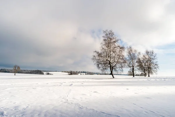 Fantastique Paysage Hivernal Enneigé Près Heiligenberg Sur Lac Constance Pour — Photo