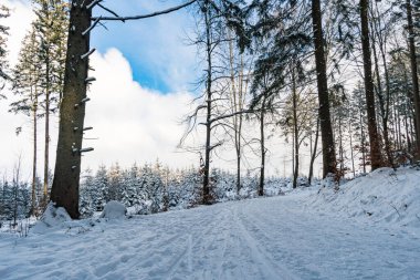 Constance Gölü yakınlarındaki Heiligenberg yakınlarında kayak, kızak ve yürüyüş için harika bir kış manzarası.
