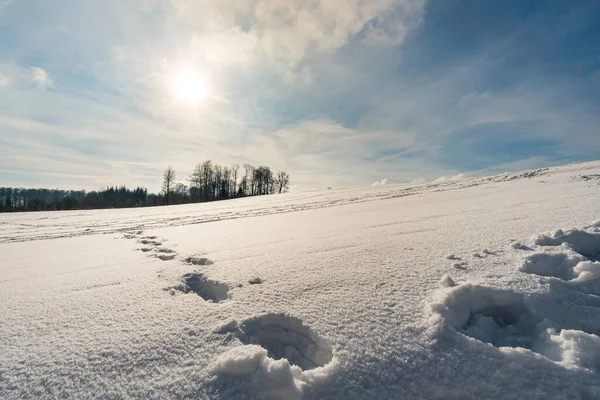 Traumhafte Schneebedeckte Winterlandschaft Bei Heiligenberg Bodensee Zum Skifahren Rodeln Und — Stockfoto