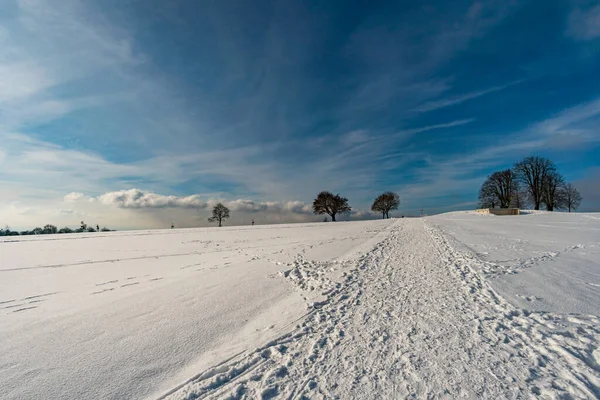 Traumhafte Schneebedeckte Winterlandschaft Bei Heiligenberg Bodensee Aussichtspunkt Amalienhöhe — Stockfoto