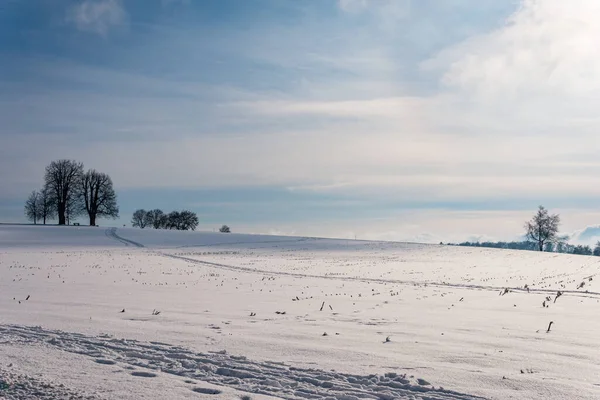 Traumhafte Schneebedeckte Winterlandschaft Bei Heiligenberg Bodensee Aussichtspunkt Amalienhöhe — Stockfoto