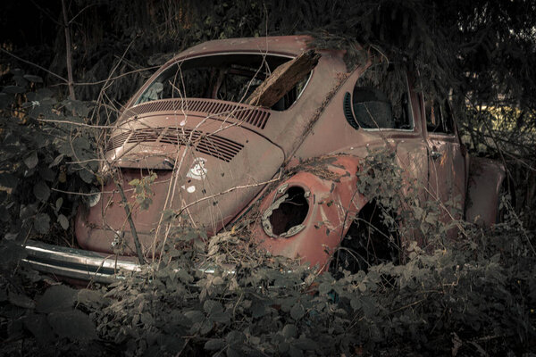 An old abandoned VW Beetle with natural decay so-called lost car, a decayed automobile