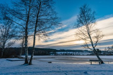 Koenigseggwald yakınlarındaki Hosskirch Gölü ve çevresindeki doğa koruma alanı etrafında kış yürüyüşü.