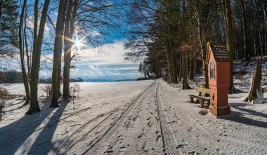 Koenigseggwald yakınlarındaki Hosskirch Gölü ve çevresindeki doğa koruma alanı etrafında kış yürüyüşü.