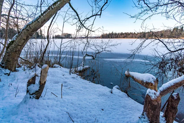ケーニヒスゲグヴァルト湖周辺の冬のハイキングや周辺の自然保護区 — ストック写真