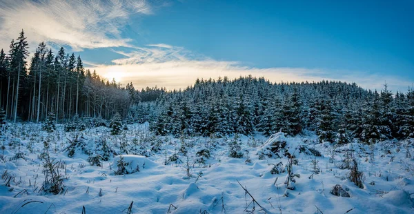 Zimowa Wycieczka Wokół Jeziora Hosskirch Pobliżu Koenigseggwald Otaczającego Rezerwatu Przyrody — Zdjęcie stockowe