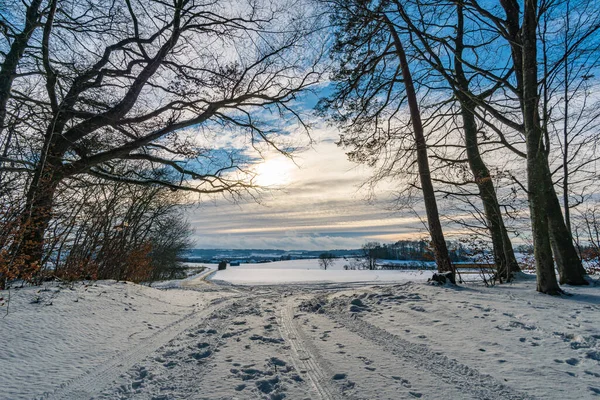 Zimowa Wycieczka Wokół Jeziora Hosskirch Pobliżu Koenigseggwald Otaczającego Rezerwatu Przyrody — Zdjęcie stockowe
