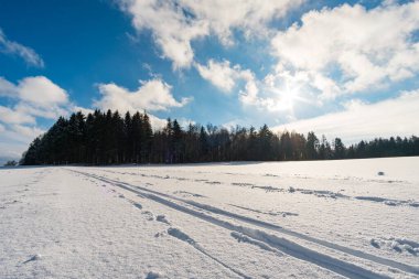 Koenigseggwald yakınlarındaki Hosskirch Gölü ve çevresindeki doğa koruma alanı etrafında kış yürüyüşü.