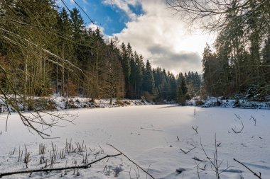 Koenigseggwald yakınlarındaki Hosskirch Gölü ve çevresindeki doğa koruma alanı etrafında kış yürüyüşü.